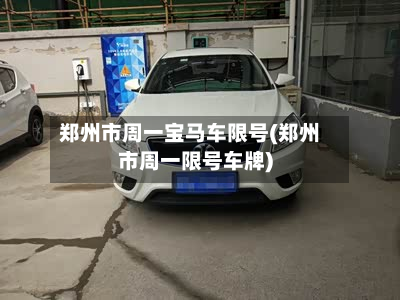 郑州市周一宝马车限号(郑州市周一限号车牌)
