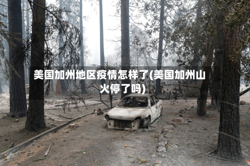 美国加州地区疫情怎样了(美国加州山火停了吗)-第2张图片