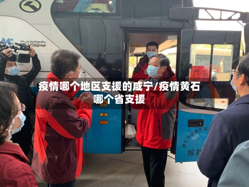 疫情哪个地区支援的咸宁/疫情黄石哪个省支援-第3张图片