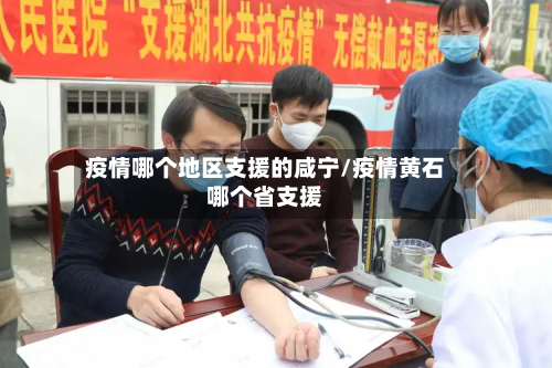 疫情哪个地区支援的咸宁/疫情黄石哪个省支援-第2张图片