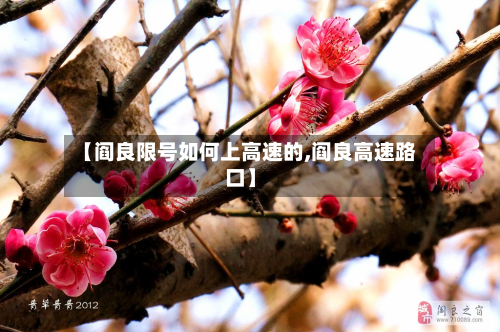 【阎良限号如何上高速的,阎良高速路口】-第2张图片