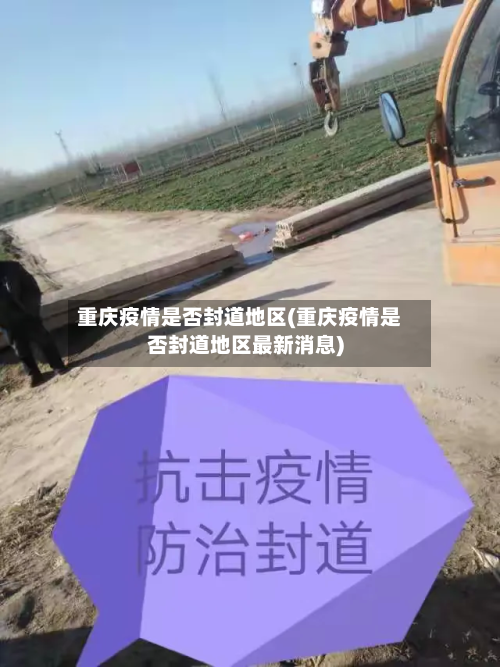 重庆疫情是否封道地区(重庆疫情是否封道地区最新消息)-第3张图片