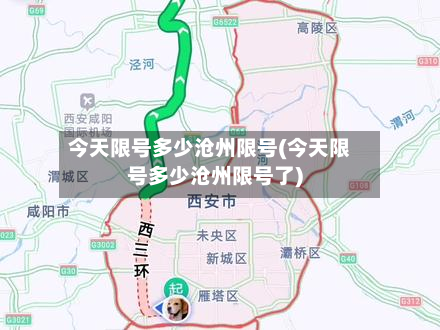 今天限号多少沧州限号(今天限号多少沧州限号了)