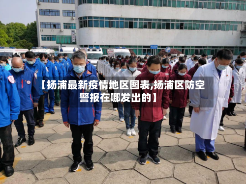 【扬浦最新疫情地区图表,扬浦区防空警报在哪发出的】-第2张图片