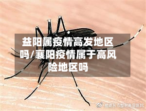 益阳属疫情高发地区吗/襄阳疫情属于高风险地区吗