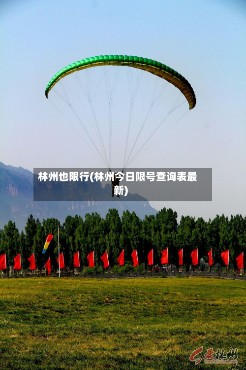 林州也限行(林州今日限号查询表最新)-第3张图片