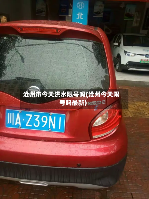 沧州市今天洪水限号吗(沧州今天限号吗最新)