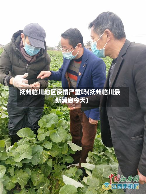 抚州临川地区疫情严重吗(抚州临川最新消息今天)