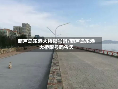 葫芦岛东港大桥限号吗/葫芦岛东港大桥限号吗今天