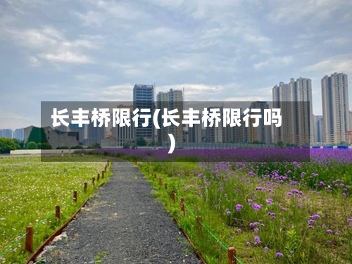 长丰桥限行(长丰桥限行吗)