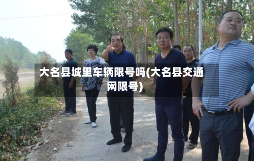大名县城里车辆限号吗(大名县交通网限号)-第3张图片