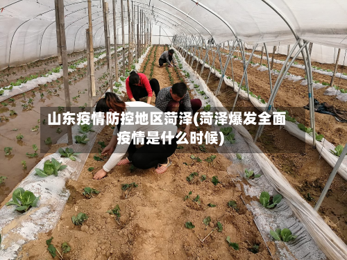 山东疫情防控地区菏泽(菏泽爆发全面疫情是什么时候)