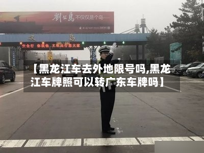 【黑龙江车去外地限号吗,黑龙江车牌照可以转广东车牌吗】-第2张图片