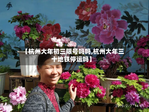 【杭州大年初三限号吗吗,杭州大年三十地铁停运吗】