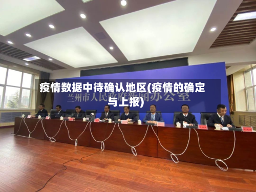 疫情数据中待确认地区(疫情的确定与上报)