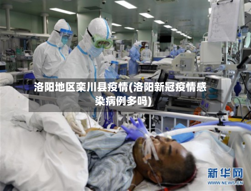 洛阳地区栾川县疫情(洛阳新冠疫情感染病例多吗)-第3张图片