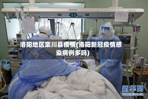 洛阳地区栾川县疫情(洛阳新冠疫情感染病例多吗)-第2张图片