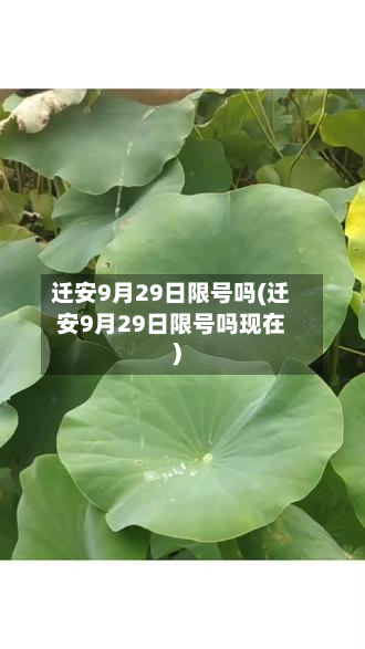 迁安9月29日限号吗(迁安9月29日限号吗现在)