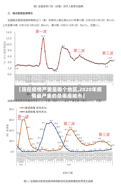 【现在疫情严重是哪个地区,2020年疫情最严重的是哪座城市】-第3张图片