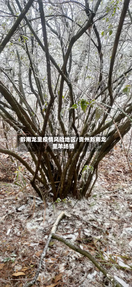 黔南龙里疫情风险地区/贵州黔南龙里羊场镇-第2张图片