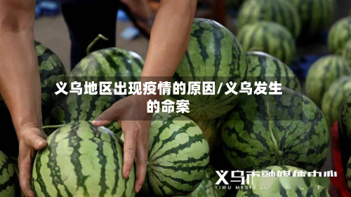 义乌地区出现疫情的原因/义乌发生的命案