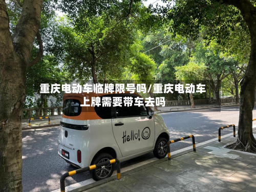重庆电动车临牌限号吗/重庆电动车上牌需要带车去吗