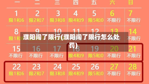 濮阳闯了限行(濮阳闯了限行怎么处罚)