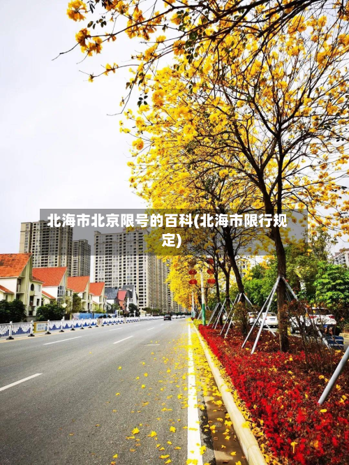 北海市北京限号的百科(北海市限行规定)-第3张图片