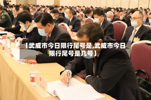 【武威市今日限行尾号是,武威市今日限行尾号是几号】