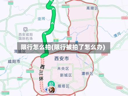 限行怎么拍(限行被拍了怎么办)