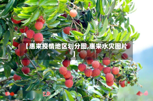 【惠来疫情地区划分图,惠来水灾图片】