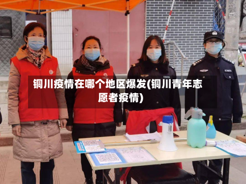 铜川疫情在哪个地区爆发(铜川青年志愿者疫情)-第3张图片