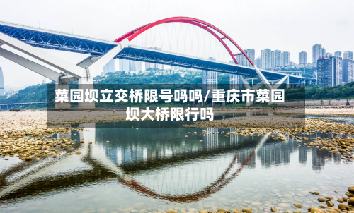 菜园坝立交桥限号吗吗/重庆市菜园坝大桥限行吗