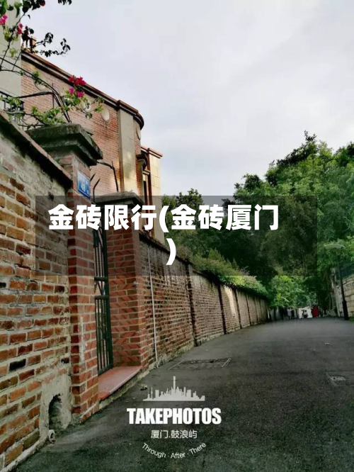 金砖限行(金砖厦门)
