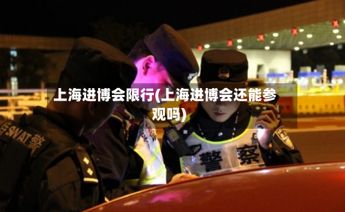 上海进博会限行(上海进博会还能参观吗)-第3张图片