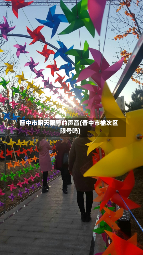 晋中市明天限号的声音(晋中市榆次区限号吗)-第3张图片