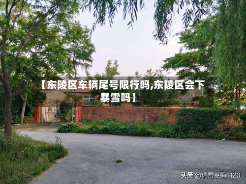【东陵区车辆尾号限行吗,东陵区会下暴雪吗】-第3张图片