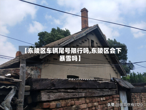 【东陵区车辆尾号限行吗,东陵区会下暴雪吗】