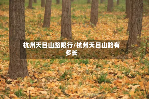 杭州天目山路限行/杭州天目山路有多长