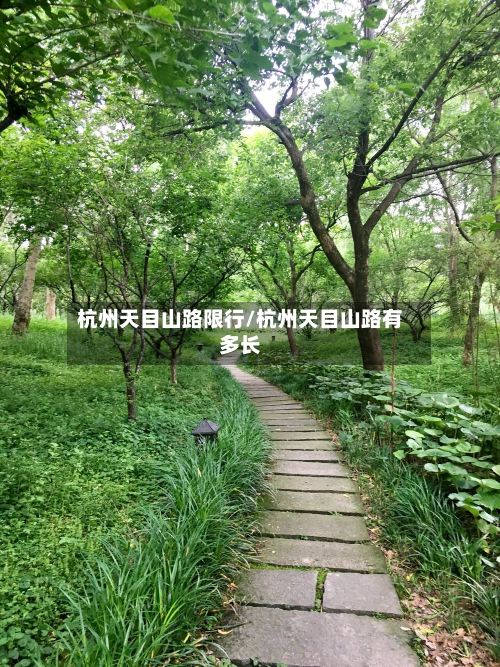 杭州天目山路限行/杭州天目山路有多长-第2张图片
