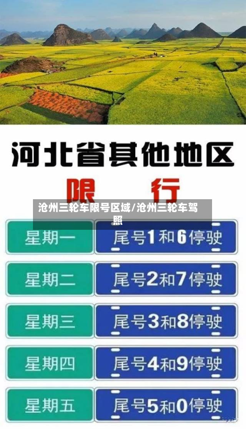 沧州三轮车限号区域/沧州三轮车驾照