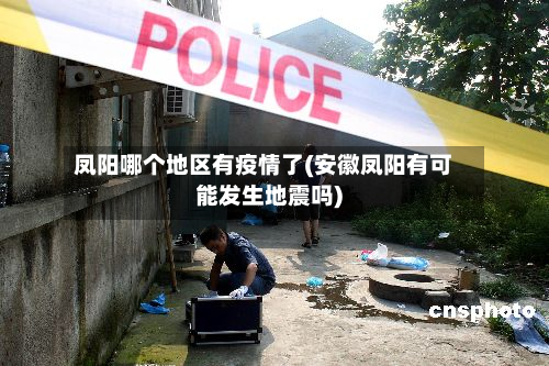 凤阳哪个地区有疫情了(安徽凤阳有可能发生地震吗)