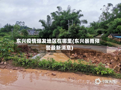 东兴疫情爆发地区在哪里(东兴暴雨预警最新消息)-第2张图片