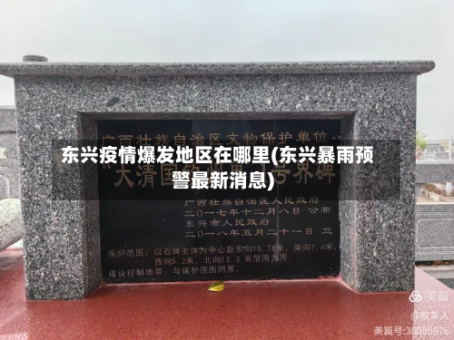 东兴疫情爆发地区在哪里(东兴暴雨预警最新消息)-第3张图片