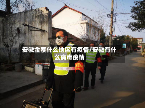 安徽金寨什么地区有疫情/安徽有什么病毒疫情