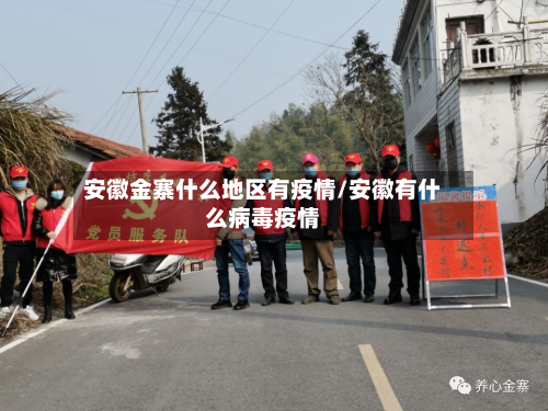 安徽金寨什么地区有疫情/安徽有什么病毒疫情-第3张图片