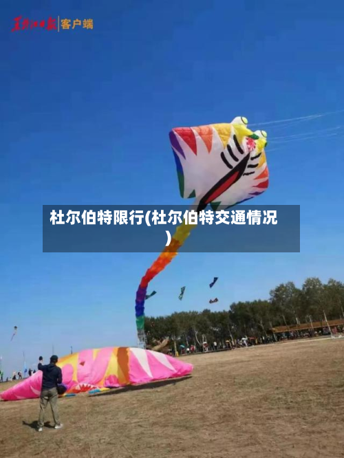 杜尔伯特限行(杜尔伯特交通情况)