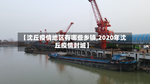 【沈丘疫情地区有哪些乡镇,2020年沈丘疫情封城】-第2张图片
