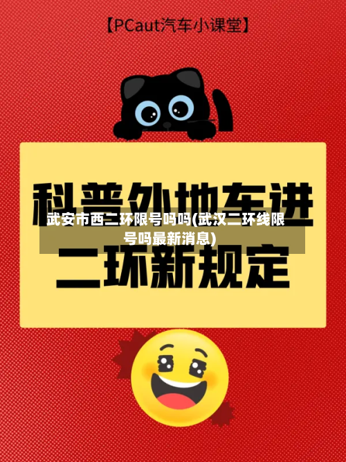 武安市西二环限号吗吗(武汉二环线限号吗最新消息)-第3张图片