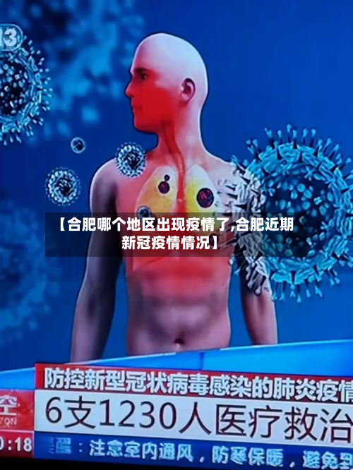 【合肥哪个地区出现疫情了,合肥近期新冠疫情情况】-第2张图片